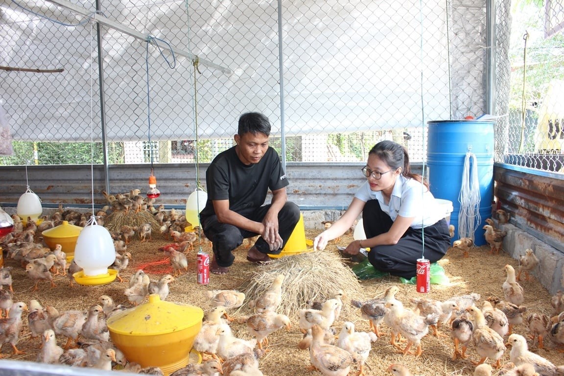 Đà Nẵng đưa khoa học vào từng trang trại, nâng cao chất lượng nông sản