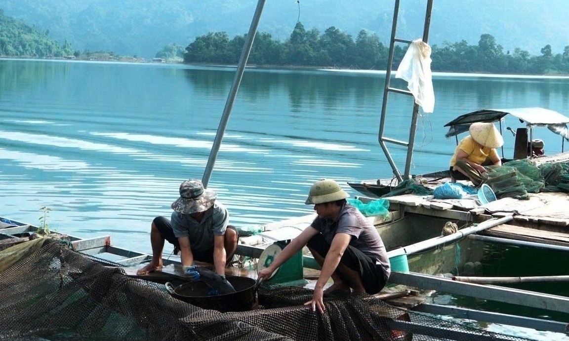 Làng nổi nuôi cá lồng trên lòng hồ thủy điện Tuyên Quang