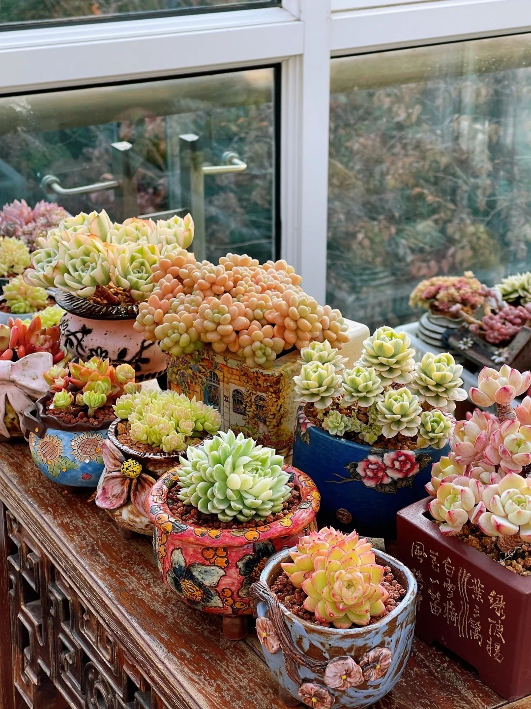 Trồng sen đá, xương rồng là tụ tài hay phá tài? Bí quyết nằm ở cách bài trí