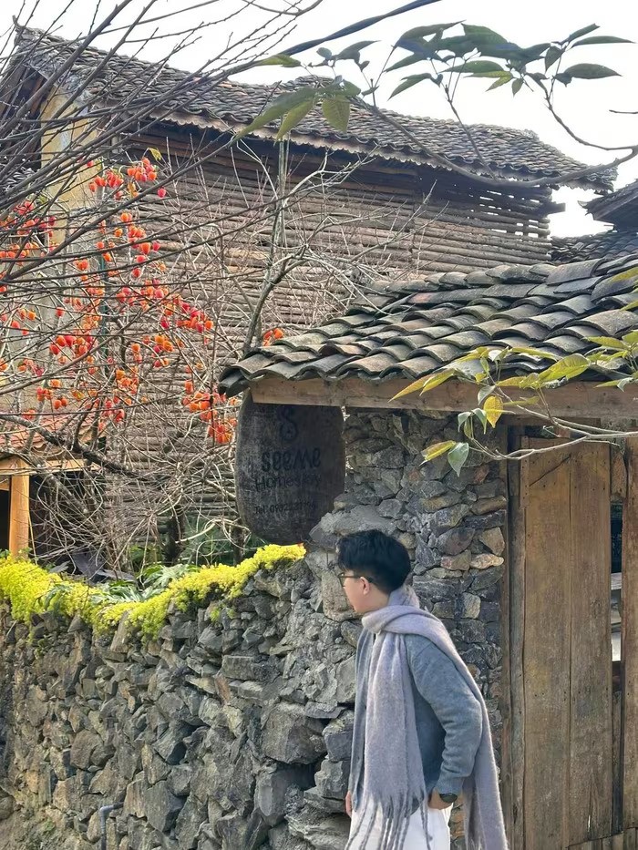 Góc làng cổ Lô Lô Chải bỗng vàng rực nhờ loài cây này, du khách nườm nượp kéo đến Góc làng cổ Lô Lô Chải bỗng vàng rực nhờ loài cây này, du khách nườm nượp kéo đến