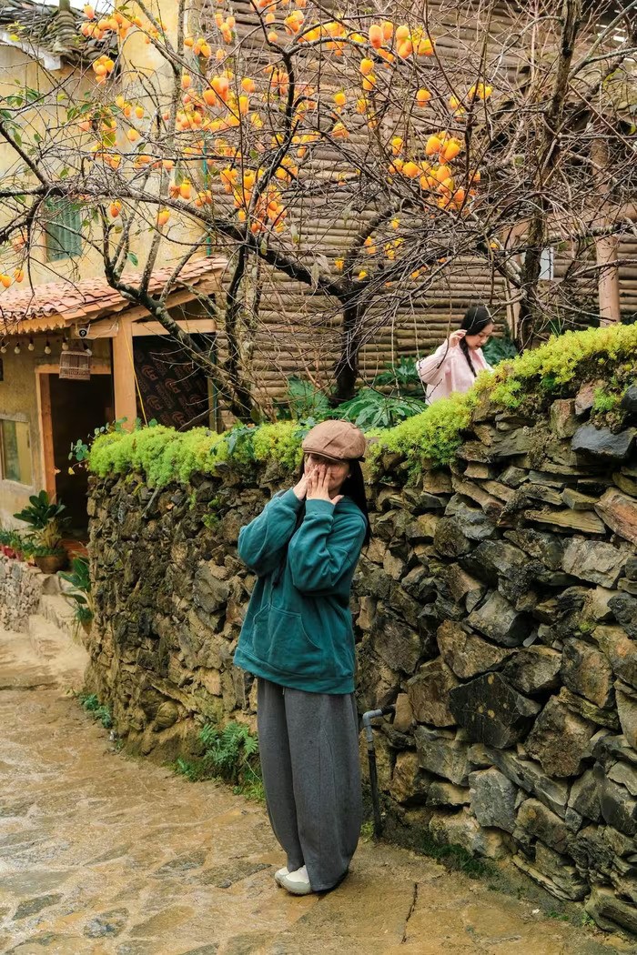 Góc làng cổ Lô Lô Chải bỗng vàng rực nhờ loài cây này, du khách nườm nượp kéo đến Góc làng cổ Lô Lô Chải bỗng vàng rực nhờ loài cây này, du khách nườm nượp kéo đến