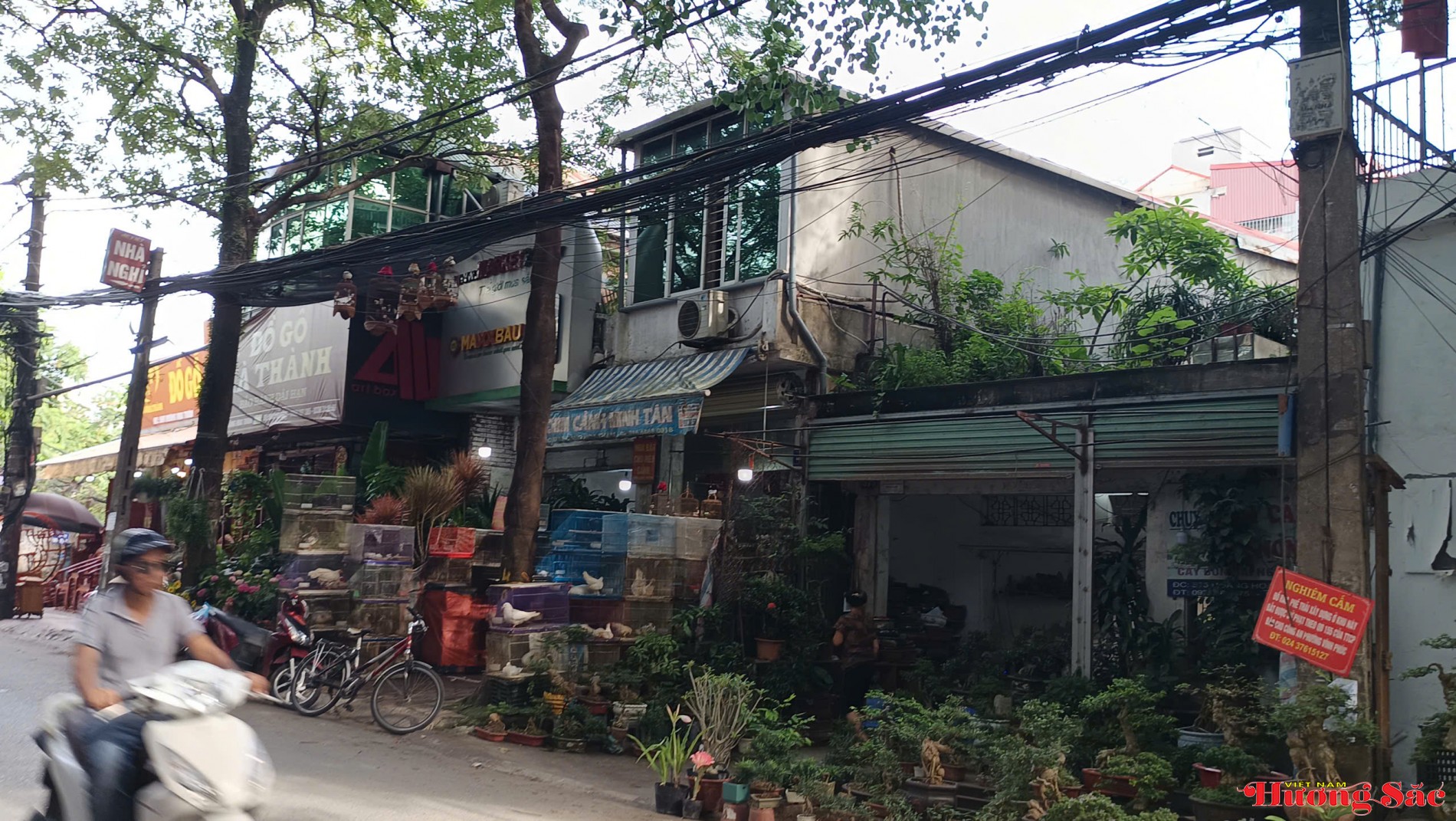 Hà Nội triển khai Kế hoạch bảo vệ động vật hoang dã và nguồn lợi thủy sản đến hết 2025 Hà Nội triển khai Kế hoạch bảo vệ động vật hoang dã và nguồn lợi thủy sản đến hết 2025