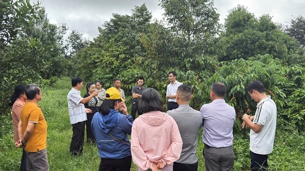 Phát huy vai trò khuyến nông trong hành trình xanh hóa nông nghiệp Tây Nguyên Phát huy vai trò khuyến nông trong hành trình xanh hóa nông nghiệp Tây Nguyên