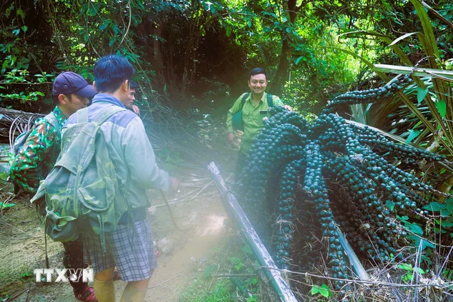 Rừng Pù Huống – kho báu đa dạng sinh học ở Nghệ An Rừng Pù Huống – kho báu đa dạng sinh học ở Nghệ An