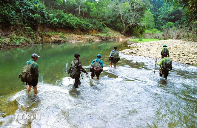 Rừng Pù Huống – kho báu đa dạng sinh học ở Nghệ An Rừng Pù Huống – kho báu đa dạng sinh học ở Nghệ An