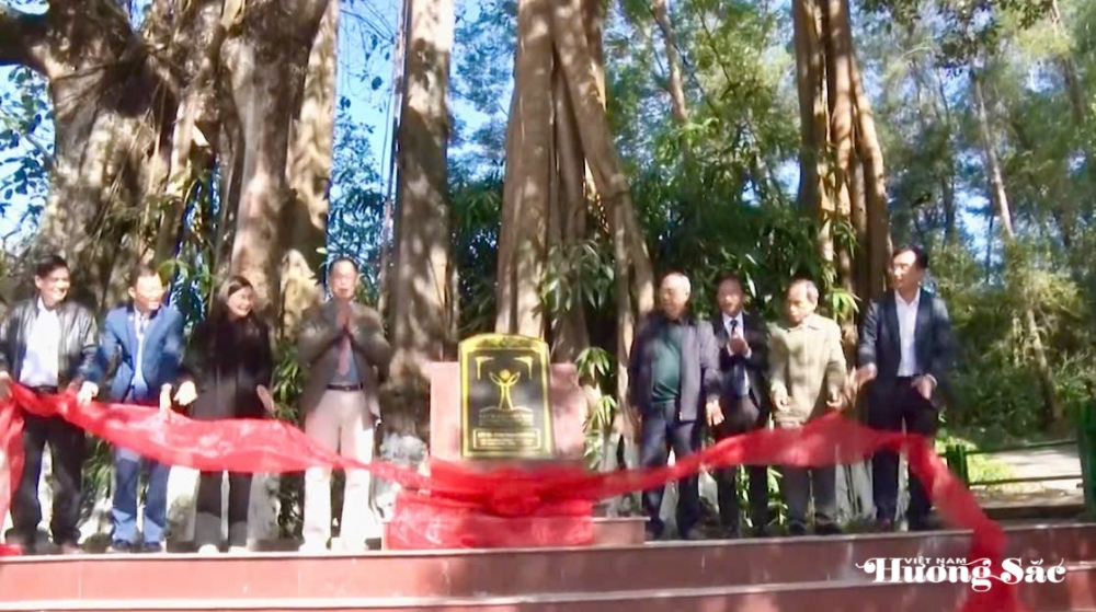 Hai cây đa Di sản: Dấu ấn 500 năm và khát vọng Than Uyên vươn mình trong kỷ nguyên mới Hai cây đa Di sản: Dấu ấn 500 năm và khát vọng Than Uyên vươn mình trong kỷ nguyên mới