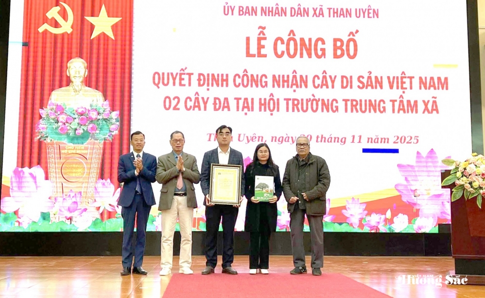Hai cây đa Di sản: Dấu ấn 500 năm và khát vọng Than Uyên vươn mình trong kỷ nguyên mới Hai cây đa Di sản: Dấu ấn 500 năm và khát vọng Than Uyên vươn mình trong kỷ nguyên mới