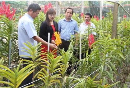 Nâng cao vai trò của trí thức khoa học kỹ thuật trong việc phát triển kinh tế - xã hội – môi trường trên địa bàn tỉnh Đắk Lắk Nâng cao vai trò của trí thức khoa học kỹ thuật trong việc phát triển kinh tế - xã hội – môi trường trên địa bàn tỉnh Đắk Lắk