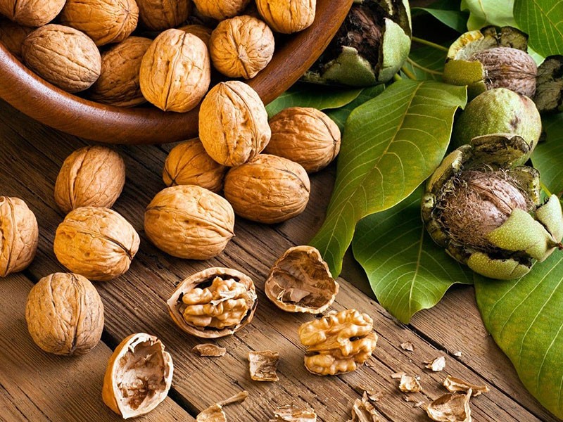 Những gia đình xưa có phúc khí thường trồng hai loài cây này trước cổng
