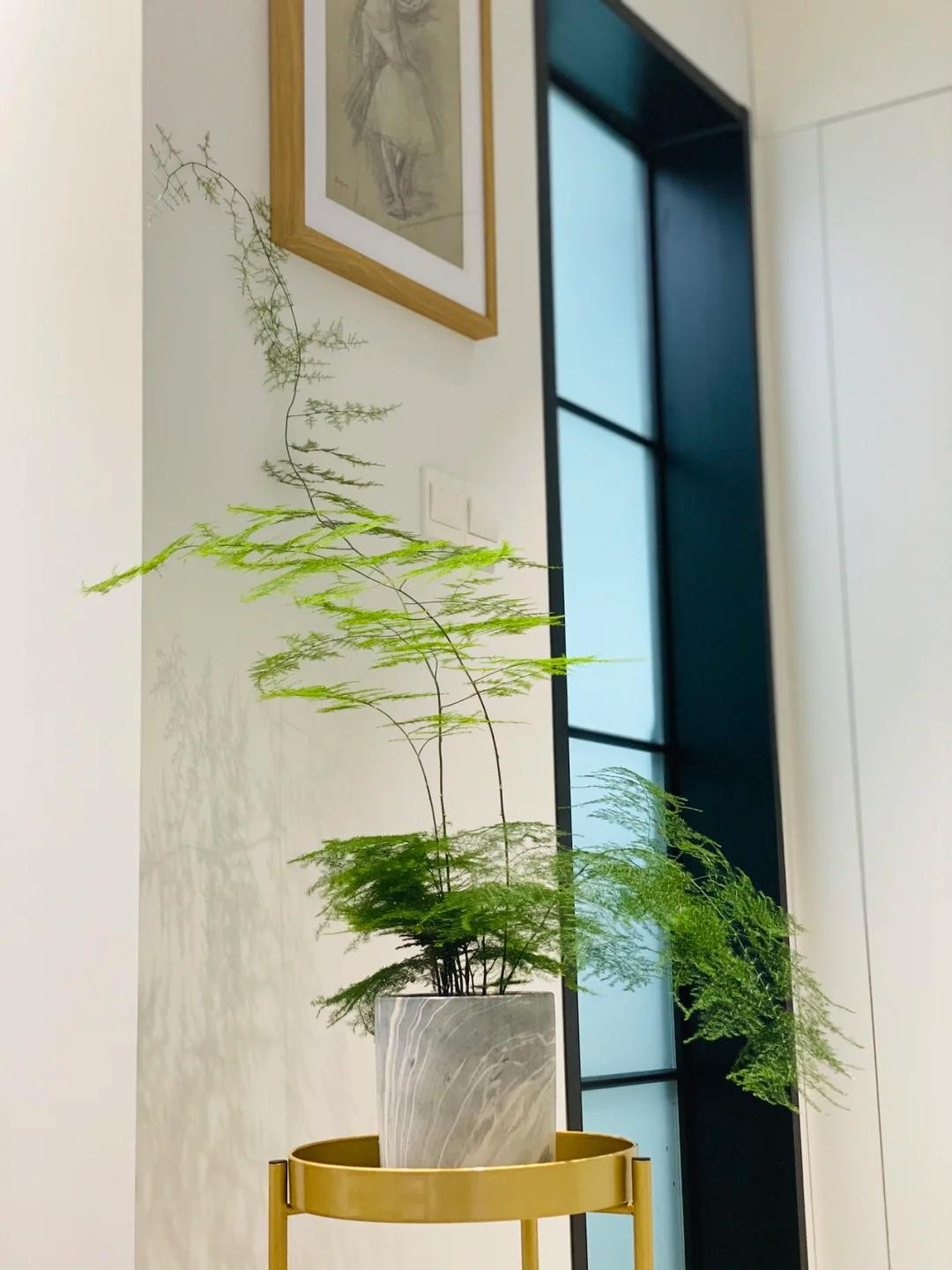 Nhà chật đến mấy, cũng nên trồng ít nhất một trong 3 nhóm cây này: Vừa đẹp nhà, vừa tốt cho sức khỏe