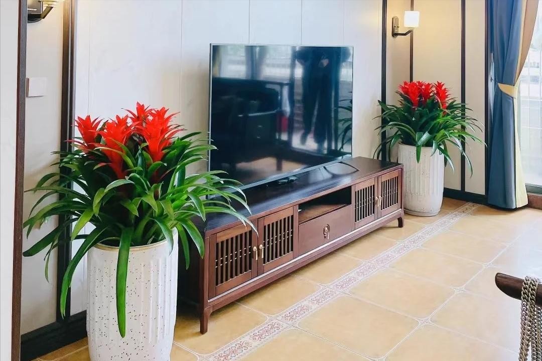 Nhà chật đến mấy, cũng nên trồng ít nhất một trong 3 nhóm cây này: Vừa đẹp nhà, vừa tốt cho sức khỏe