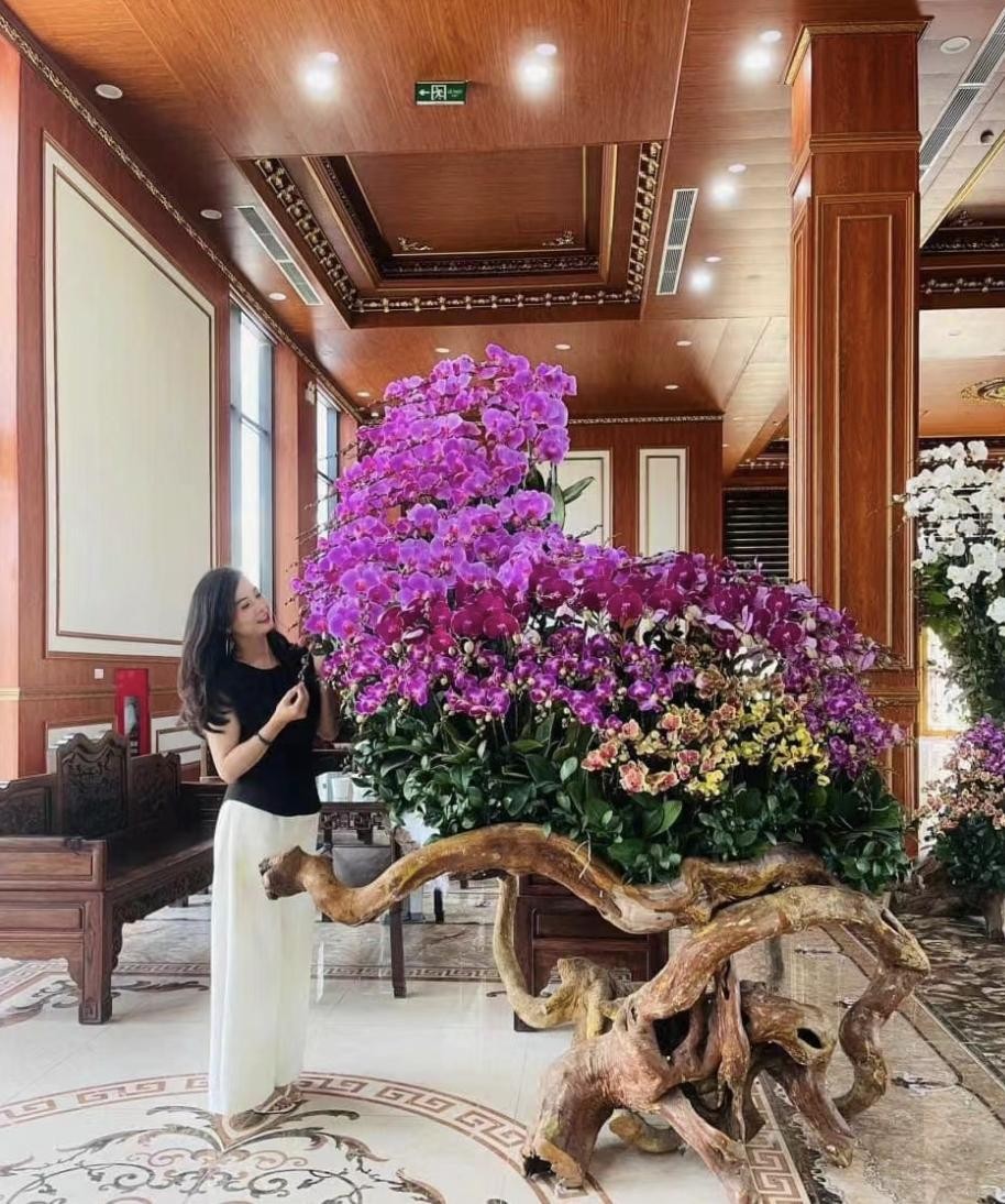 Ba loài hoa vừa đẹp vừa phong thủy, được giới nhà giàu đặc biệt ưa chuộng Ba loài hoa vừa đẹp vừa phong thủy, được giới nhà giàu đặc biệt ưa chuộng