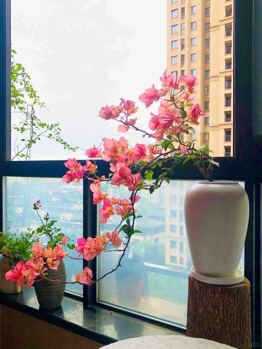 Biến hoa giấy thành “tác phẩm nghệ thuật” chỉ với một sợi dây nhôm