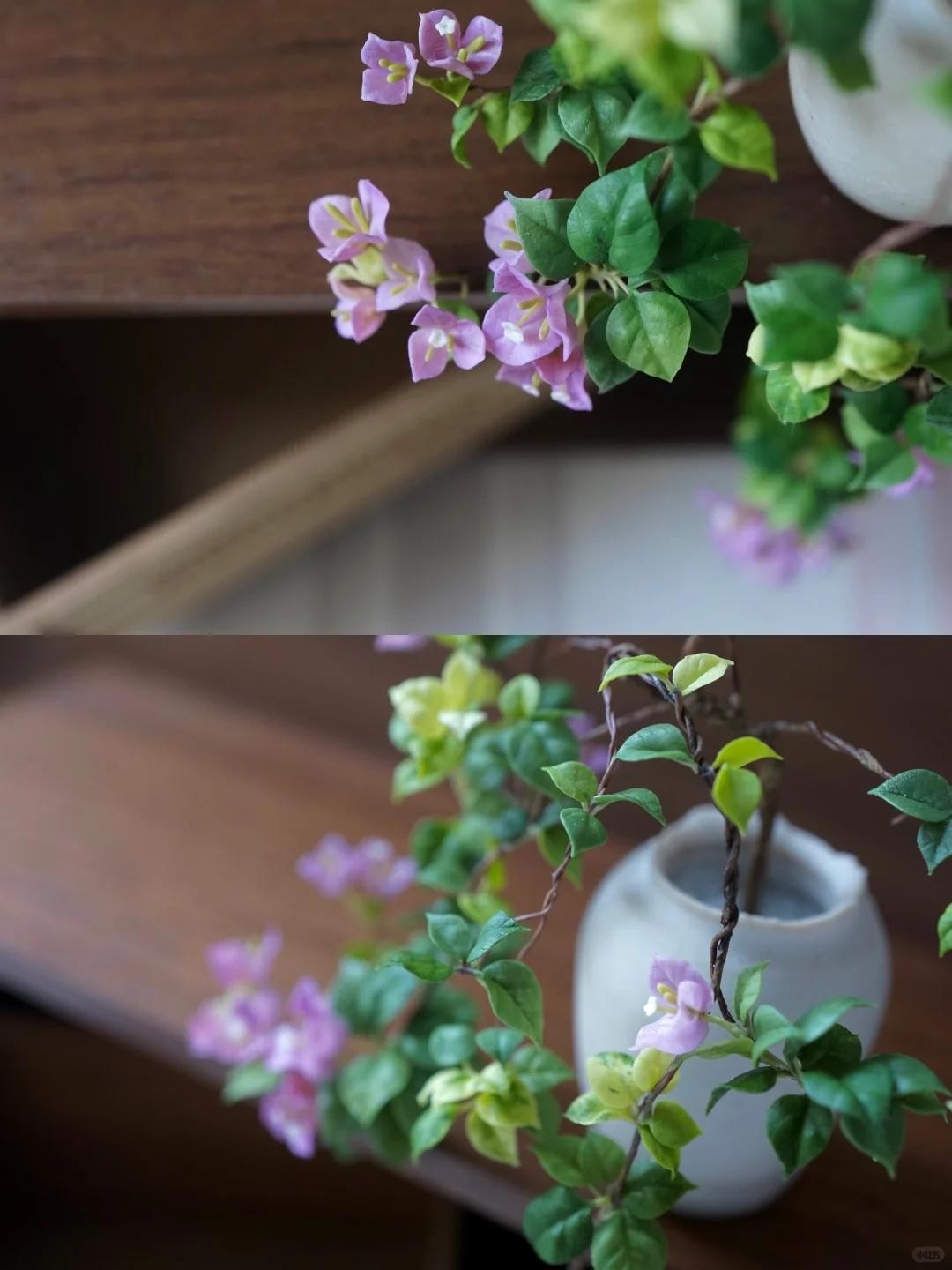 Biến hoa giấy thành “tác phẩm nghệ thuật” chỉ với một sợi dây nhôm