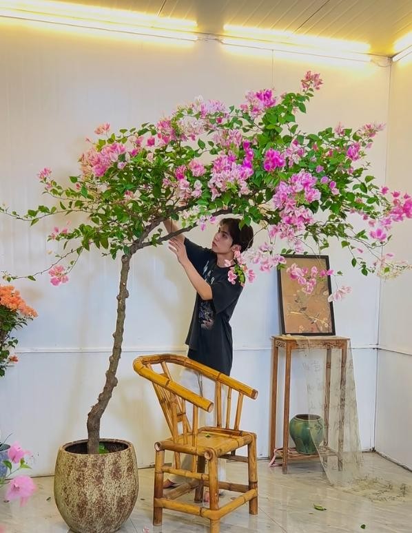 Biến hoa giấy thành “tác phẩm nghệ thuật” chỉ với một sợi dây nhôm