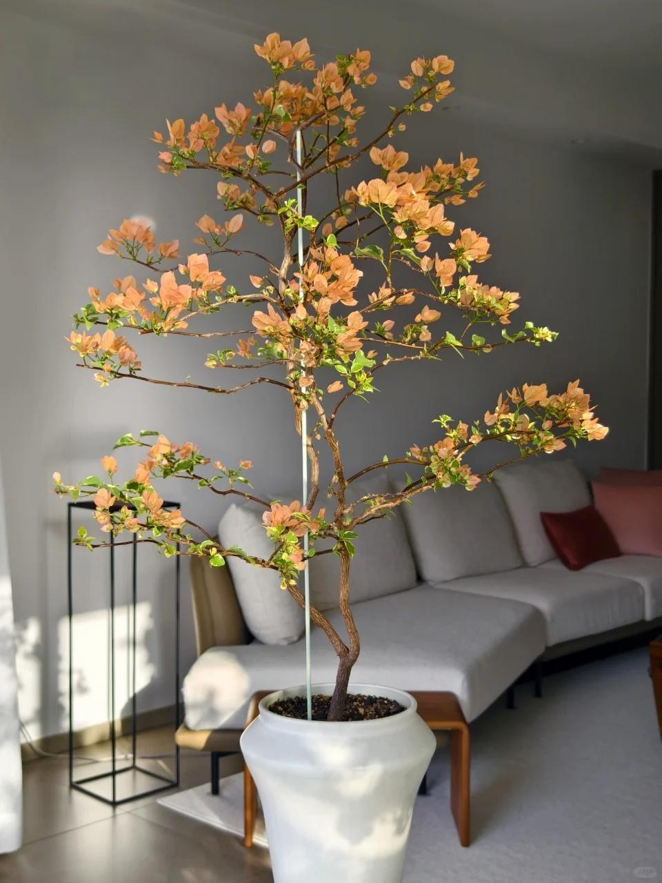 Biến hoa giấy thành “tác phẩm nghệ thuật” chỉ với một sợi dây nhôm