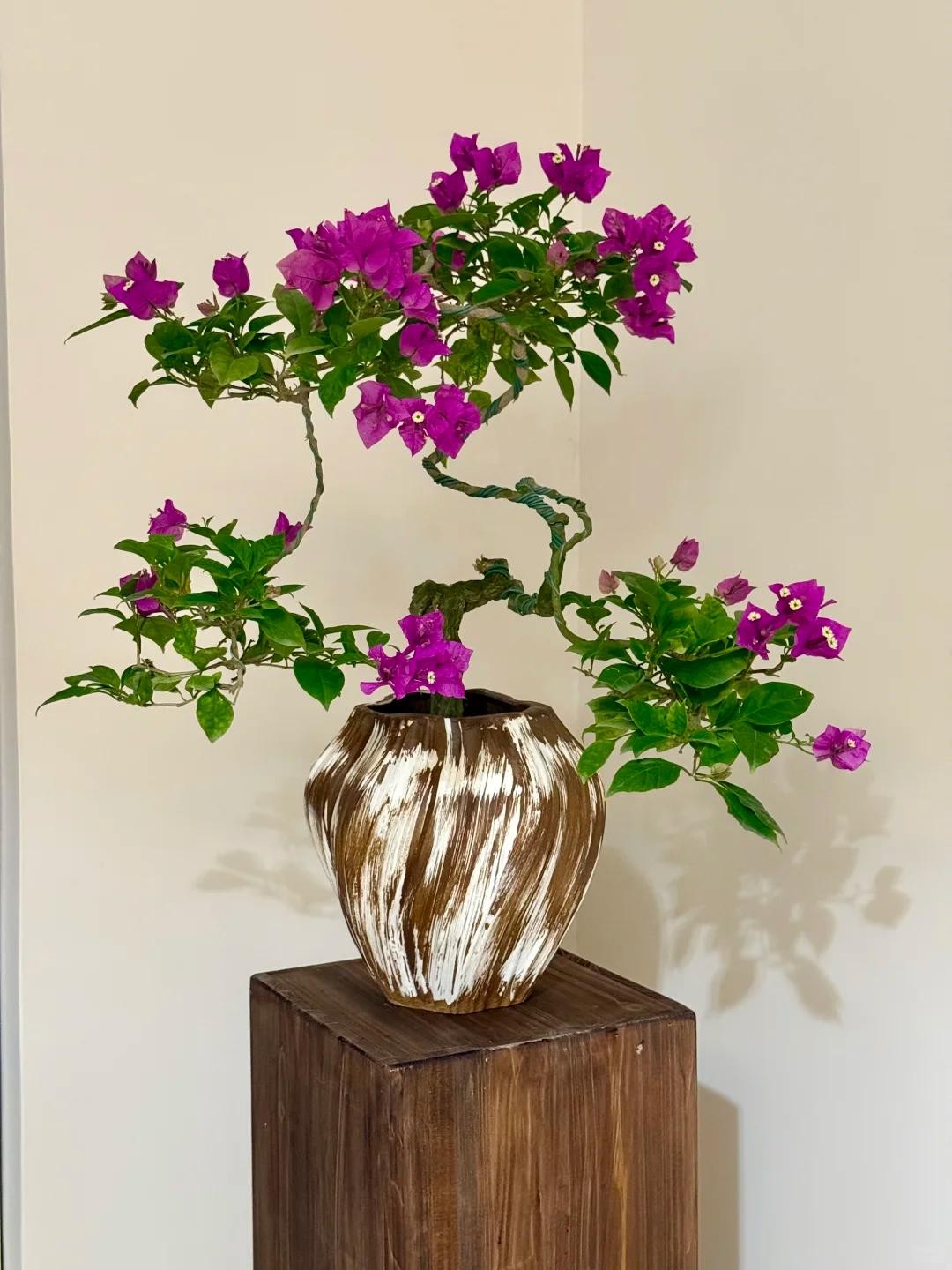 Biến hoa giấy thành “tác phẩm nghệ thuật” chỉ với một sợi dây nhôm