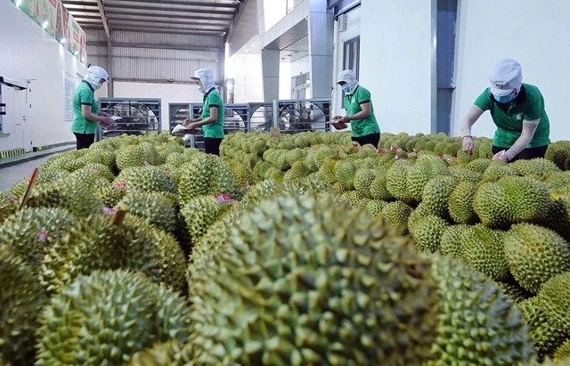 Từ 2026, bắt buộc truy xuất nguồn gốc nông sản, xử lý trái cây chứa chất cấm
