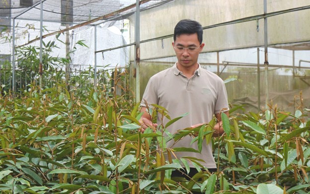 Làng nghề ươm cây giống ở Bảo Lộc, Lâm Đồng – động lực phát triển kinh tế địa phương Làng nghề ươm cây giống ở Bảo Lộc, Lâm Đồng – động lực phát triển kinh tế địa phương