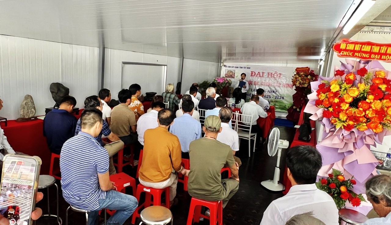 Chi hội Đá cảnh tỉnh Tây Ninh: tổ chức thành công Đại hội nhiệm kỳ 2025-2028
