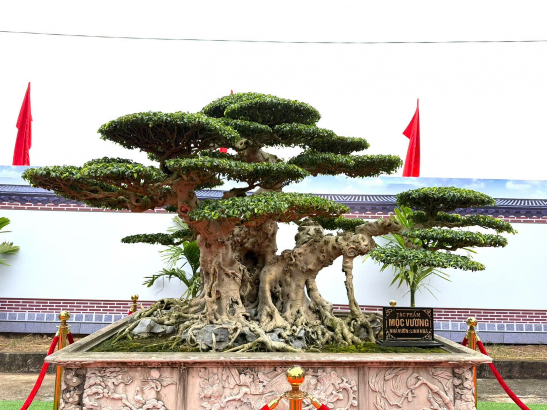 Hội Sinh vật cảnh xã Tân Thuận tổ chức Đại hội đại biểu lần thứ I, nhiệm kỳ 2025 - 2030