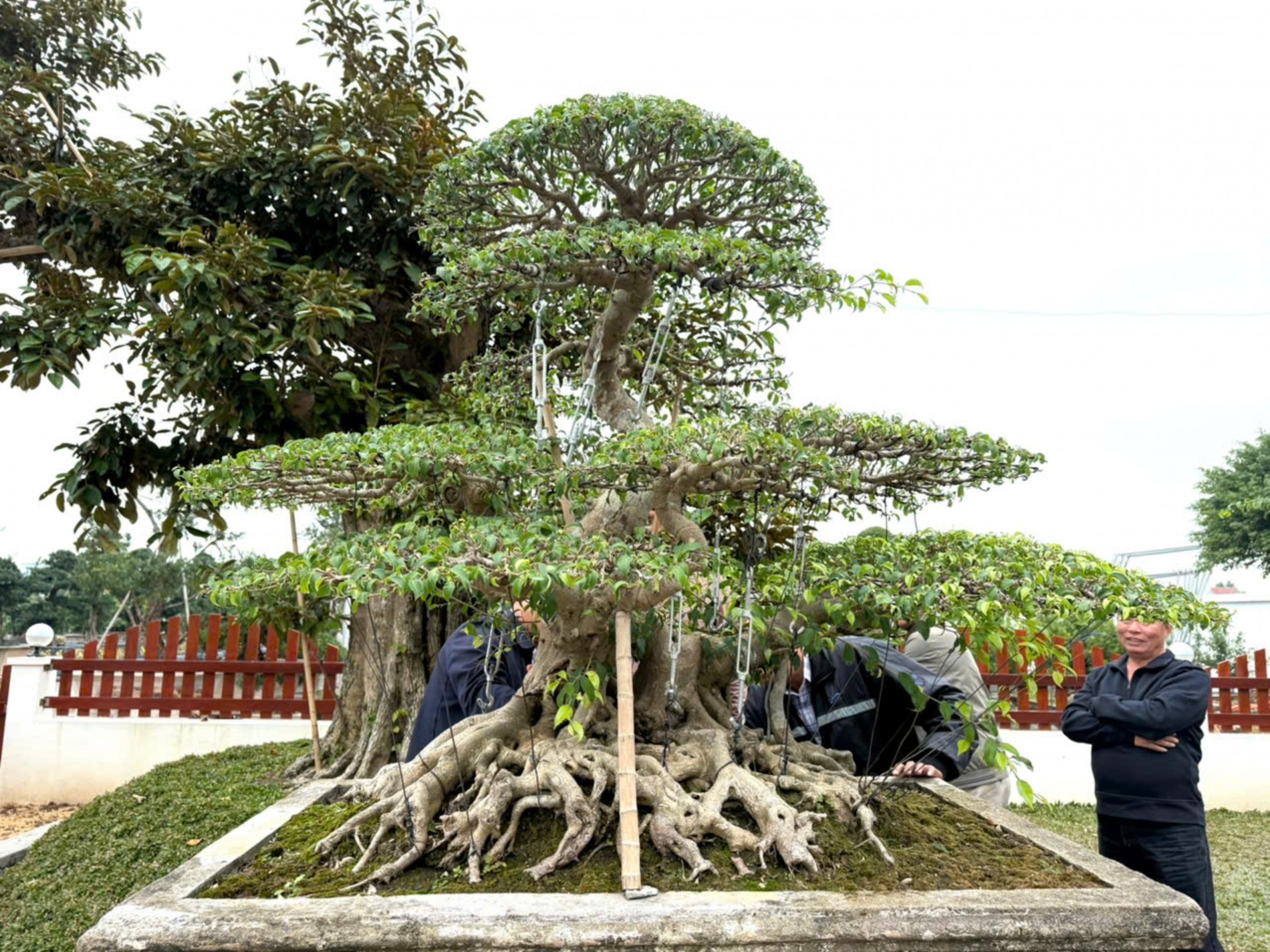 Hội Sinh vật cảnh xã Tân Thuận tổ chức Đại hội đại biểu lần thứ I, nhiệm kỳ 2025 - 2030