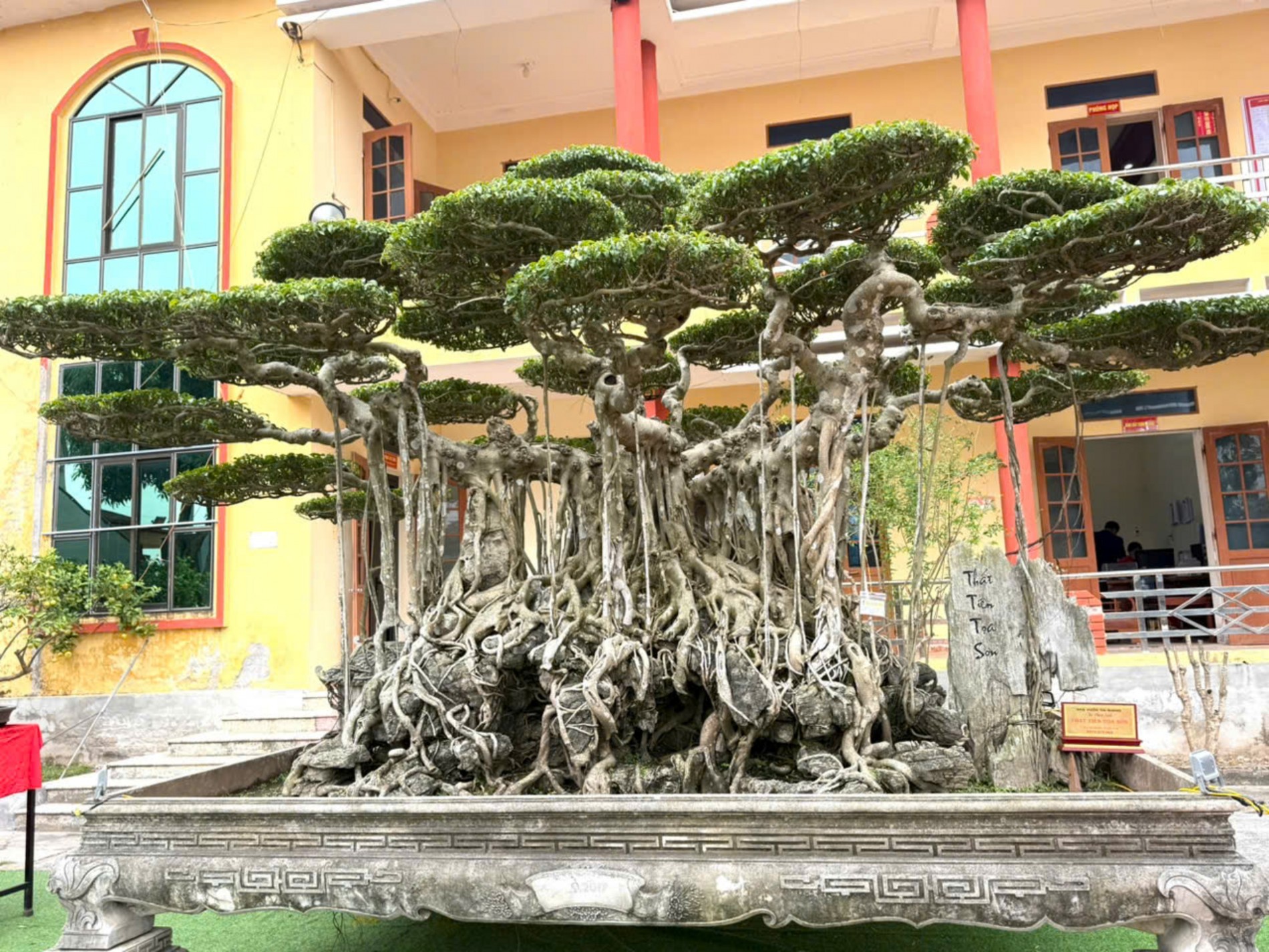 Hội Sinh vật cảnh xã Tân Thuận tổ chức Đại hội đại biểu lần thứ I, nhiệm kỳ 2025 - 2030