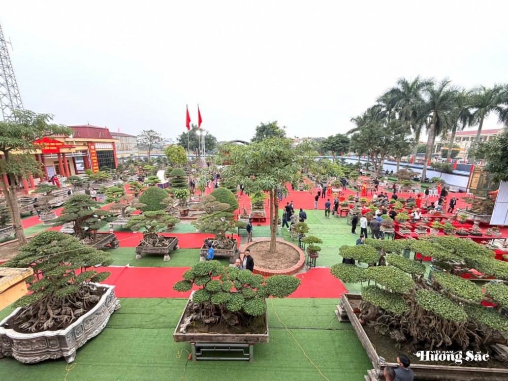 Hội Sinh vật cảnh xã Tân Thuận tổ chức Đại hội đại biểu lần thứ I, nhiệm kỳ 2025 - 2030 Hội Sinh vật cảnh xã Tân Thuận tổ chức Đại hội đại biểu lần thứ I, nhiệm kỳ 2025 - 2030