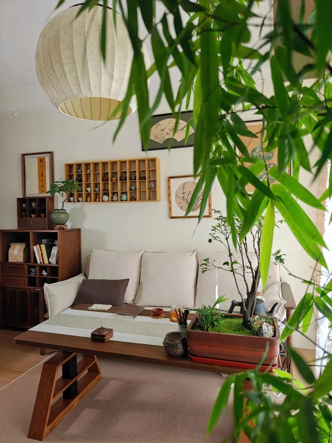 Cây cảnh dân dã nhưng là “bảo vật phong thủy”, trồng trong nhà giúp hóa giải vận xấu, giữ lộc bền lâu