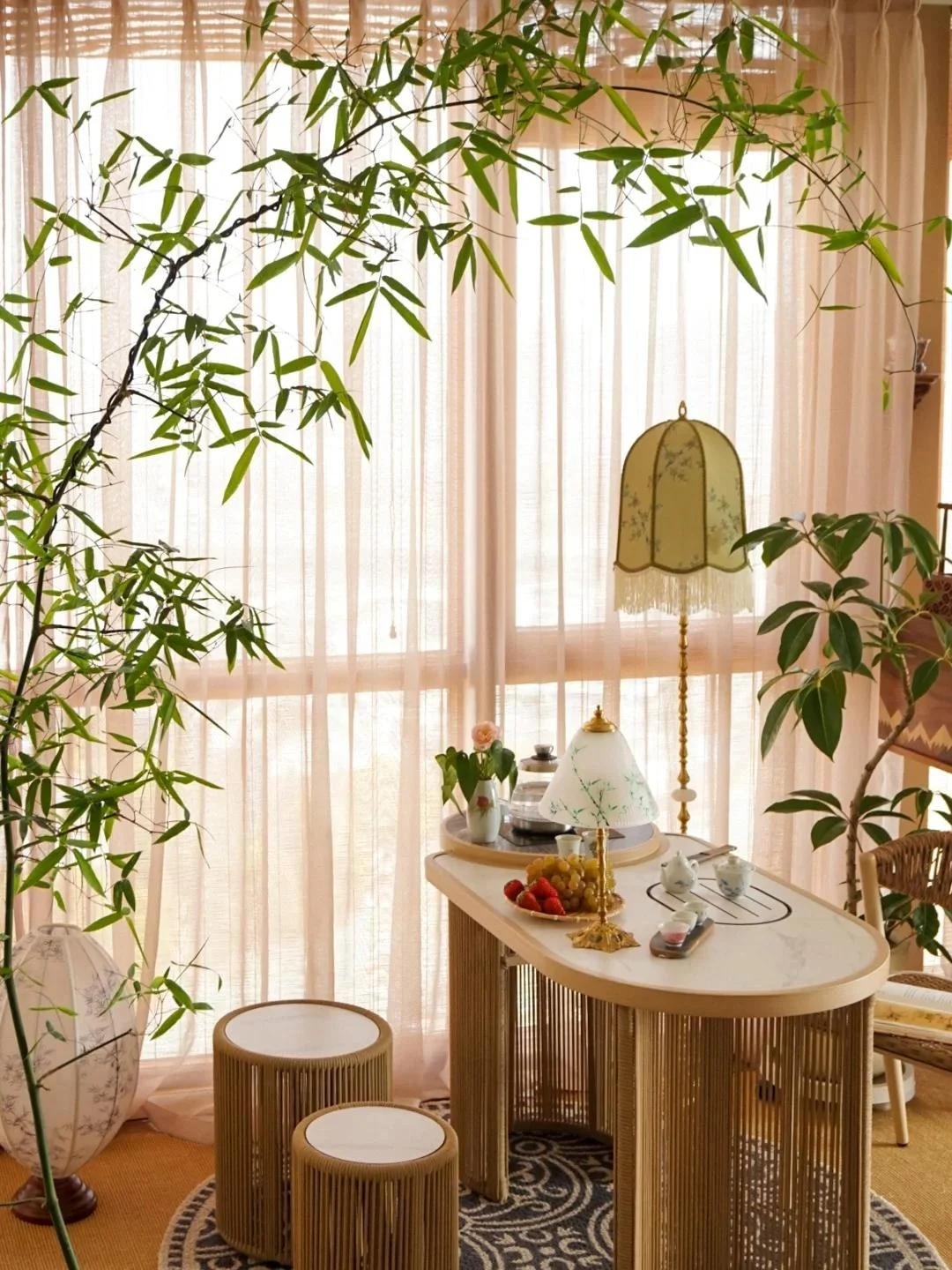 Cây cảnh dân dã nhưng là “bảo vật phong thủy”, trồng trong nhà giúp hóa giải vận xấu, giữ lộc bền lâu