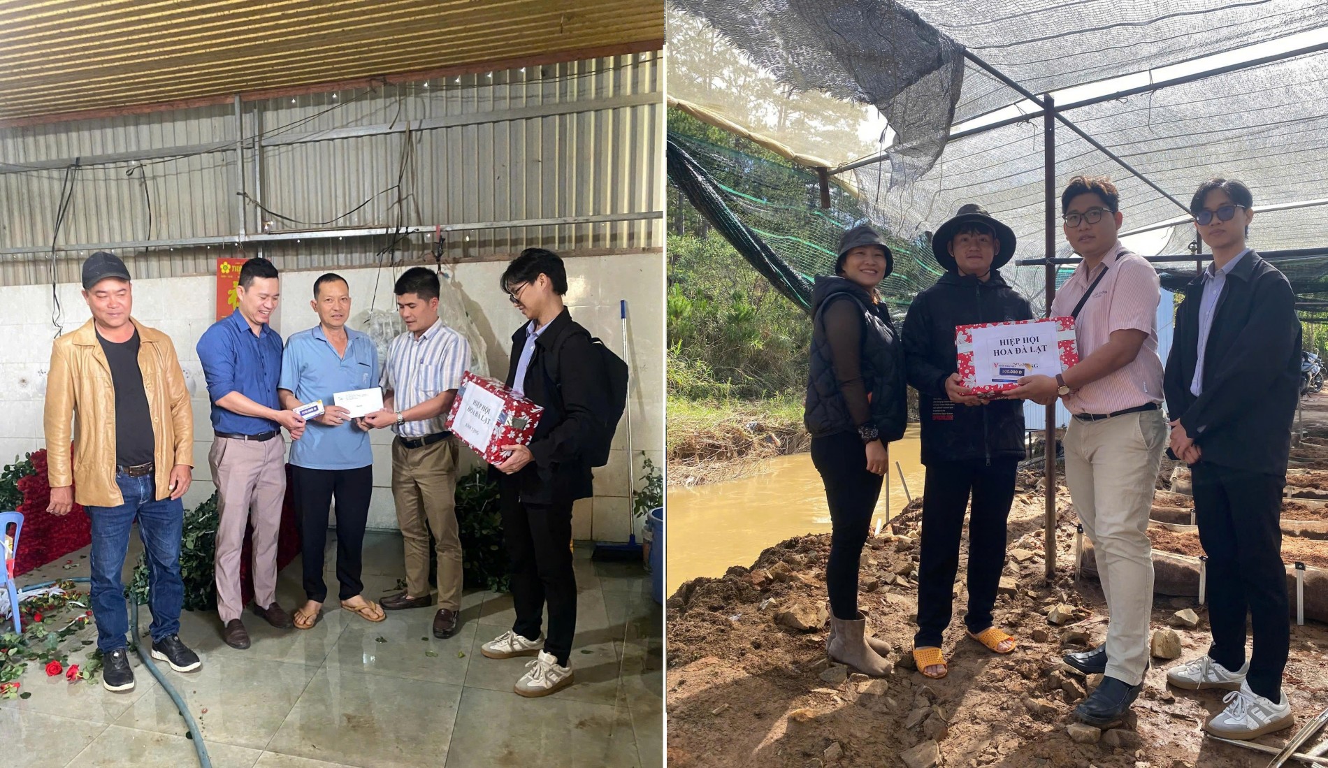Hiệp hội Hoa Đà Lạt thăm hỏi, động viên hội viên và nông dân trồng hoa bị thiệt hại do lũ lụt
