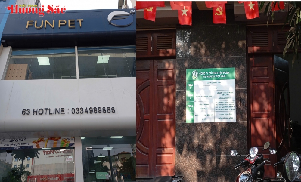 Những yêu cầu bắt buộc trong hoạt động khám, chăm sóc y tế đối với thú cưng