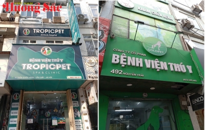 Những yêu cầu bắt buộc trong hoạt động khám, chăm sóc y tế đối với thú cưng
