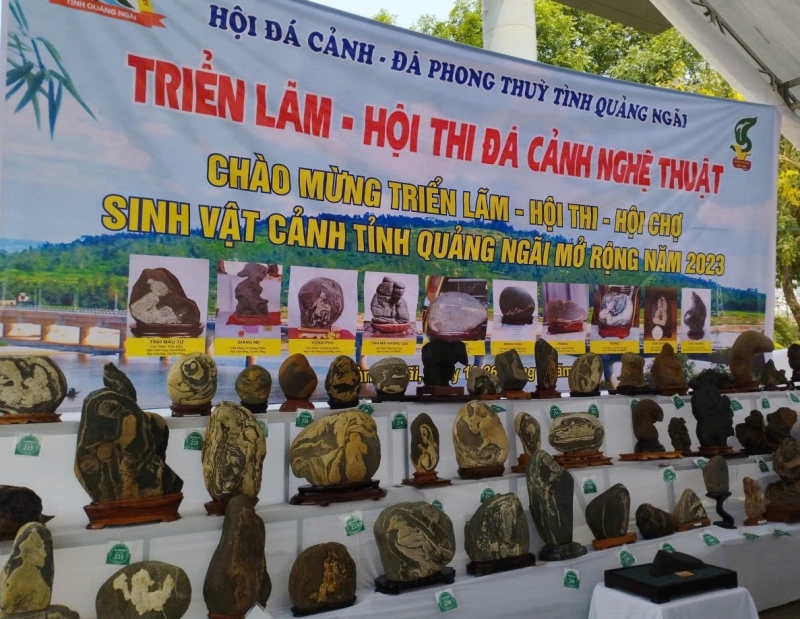 Hội Đá cảnh Quảng Ngãi tham gia trưng bày hơn 70 tác phẩm tại Tuần Di sản văn hóa Quảng Ngãi 2025