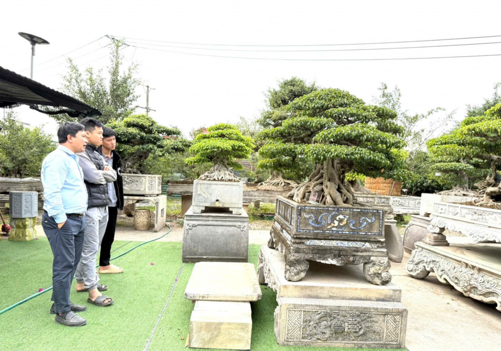 Nhà vườn Vân Đông Anh: Hành trình 15 năm bền bỉ đi tìm giá trị bonsai