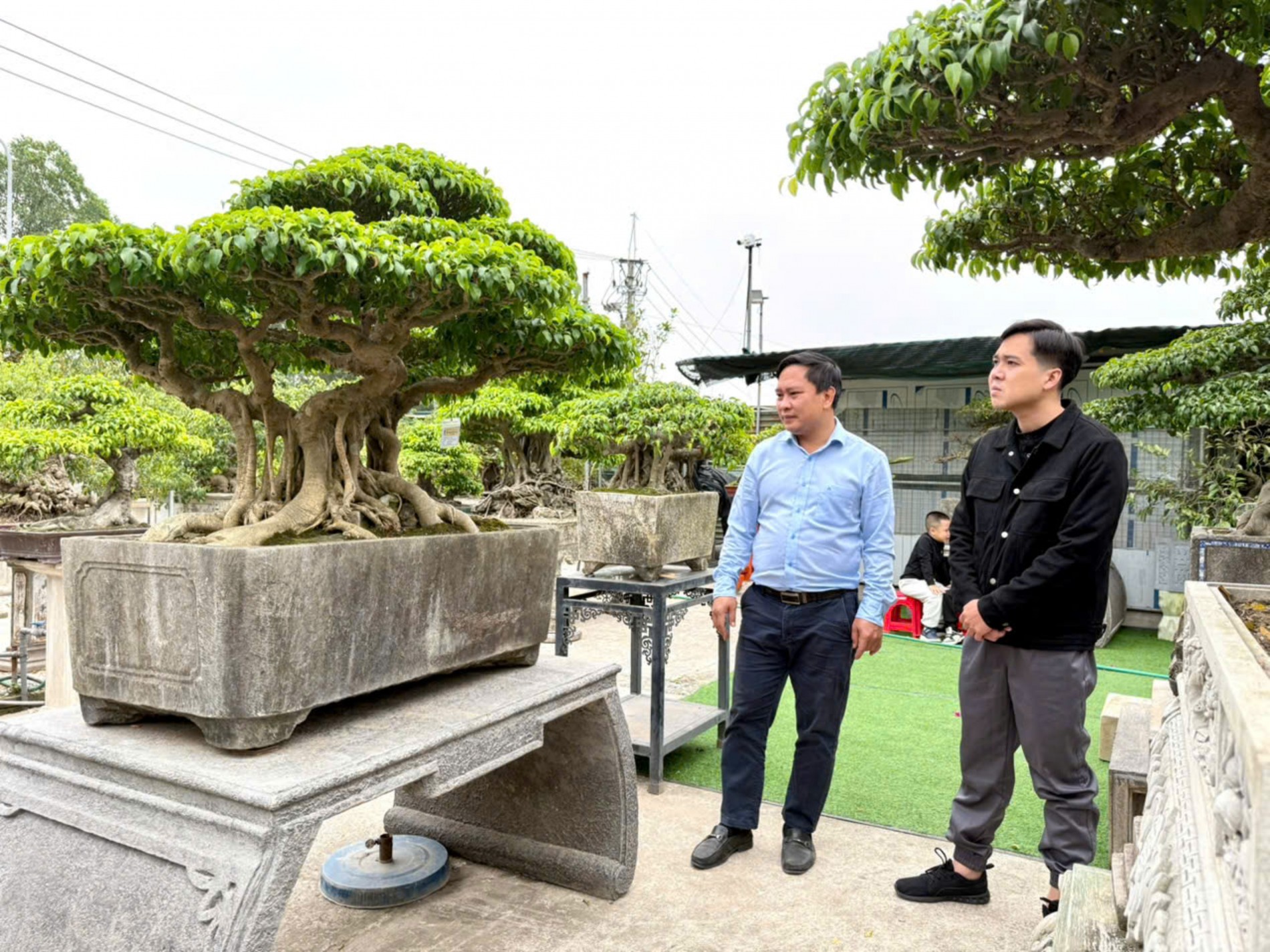 Nhà vườn Vân Đông Anh: Hành trình 15 năm bền bỉ đi tìm giá trị bonsai
