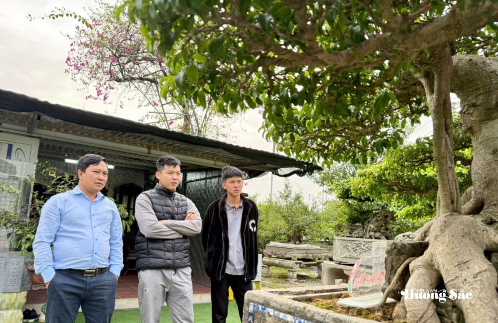 Nhà vườn Vân Đông Anh: Hành trình 15 năm bền bỉ đi tìm giá trị bonsai Nhà vườn Vân Đông Anh: Hành trình 15 năm bền bỉ đi tìm giá trị bonsai