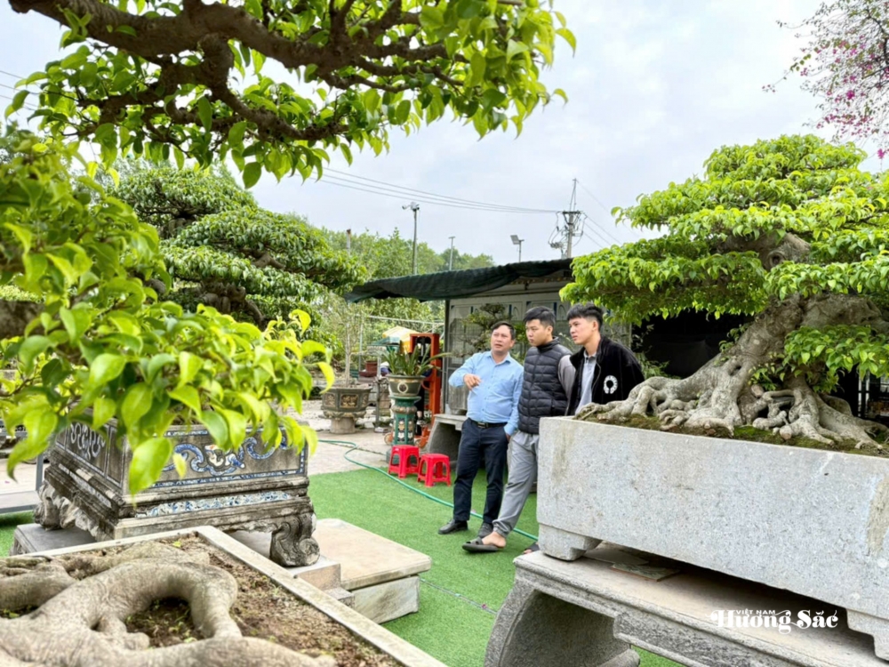 Nhà vườn Vân Đông Anh: Hành trình 15 năm bền bỉ đi tìm giá trị bonsai Nhà vườn Vân Đông Anh: Hành trình 15 năm bền bỉ đi tìm giá trị bonsai