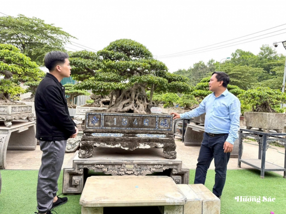 Nhà vườn Vân Đông Anh: Hành trình 15 năm bền bỉ đi tìm giá trị bonsai Nhà vườn Vân Đông Anh: Hành trình 15 năm bền bỉ đi tìm giá trị bonsai