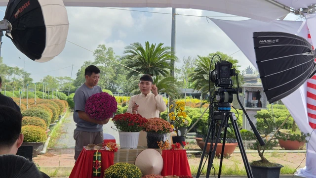 Vựa hoa miền Tây tất bật bán hoa Tết sớm qua livestream cùng người nổi tiếng