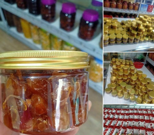 Thuần hóa cây dại vùng mây mù, nông dân Mẫu Sơn mở hướng làm kinh tế xanh Thuần hóa cây dại vùng mây mù, nông dân Mẫu Sơn mở hướng làm kinh tế xanh