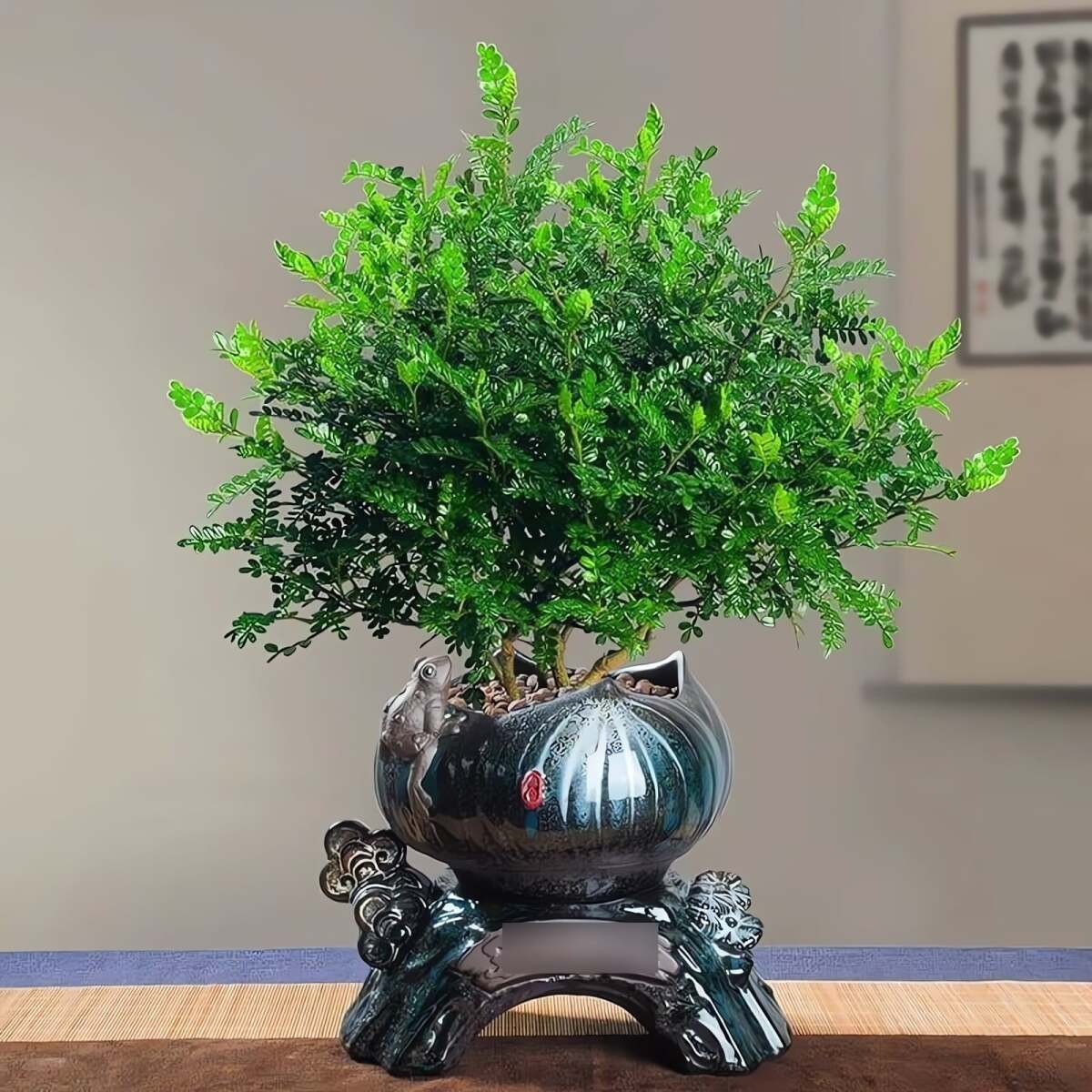 5 cây cảnh được ví như “bùa may mắn” trong phòng khách
