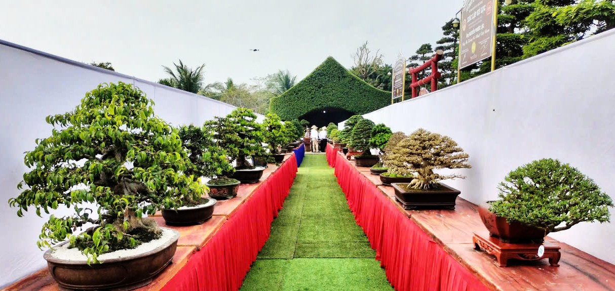 Tài năng trẻ giành 8 giải thưởng tại Hội thi Bonsai Festival Hoa kiểng Sa Đéc 2025 Tài năng trẻ giành 8 giải thưởng tại Hội thi Bonsai Festival Hoa kiểng Sa Đéc 2025