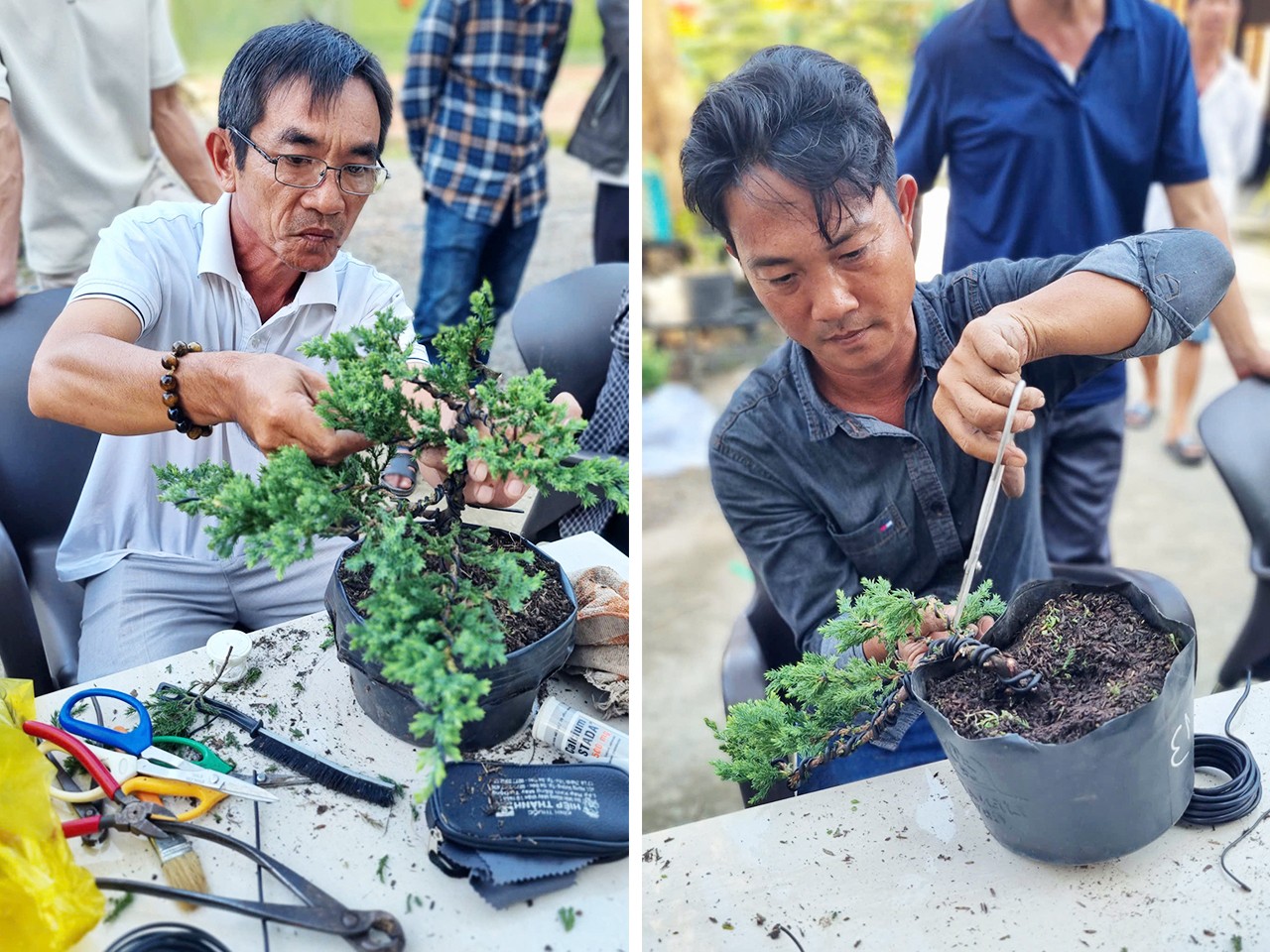 Tài năng trẻ giành 8 giải thưởng tại Hội thi Bonsai Festival Hoa kiểng Sa Đéc 2025 Tài năng trẻ giành 8 giải thưởng tại Hội thi Bonsai Festival Hoa kiểng Sa Đéc 2025