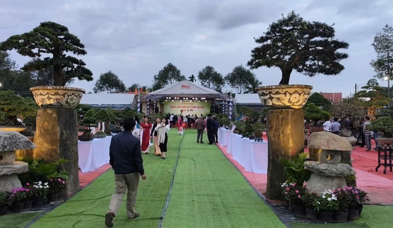 Ngắm các tác phẩm đá cảnh trong Triển lãm Sinh vật cảnh An Phú – Xuân 2026 Ngắm các tác phẩm đá cảnh trong Triển lãm Sinh vật cảnh An Phú – Xuân 2026