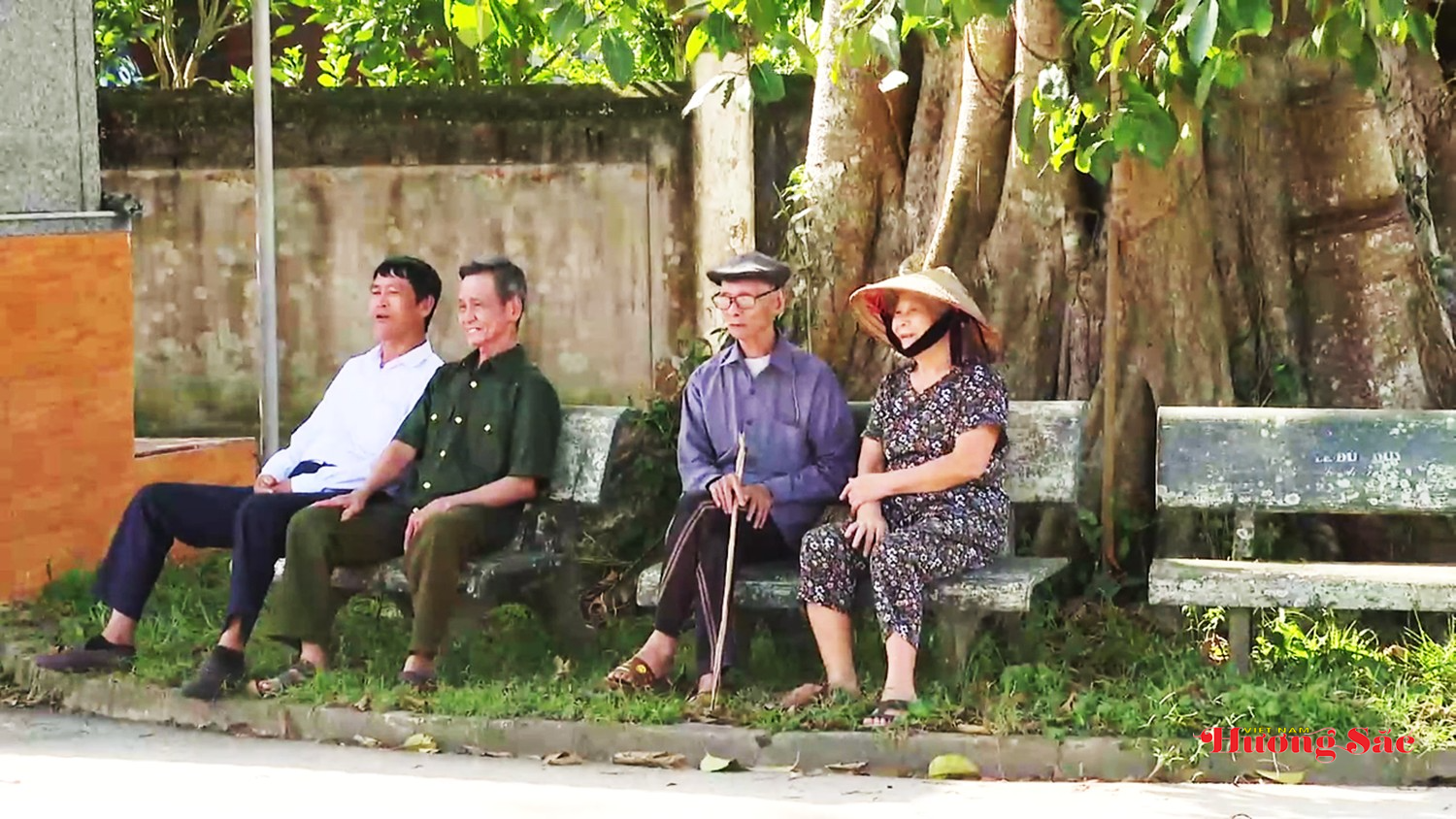 Bộ rễ cây đa cổ thụ hóa thân thành cổng làng – dấu ấn làng quê Việt Bộ rễ cây đa cổ thụ hóa thân thành cổng làng – dấu ấn làng quê Việt