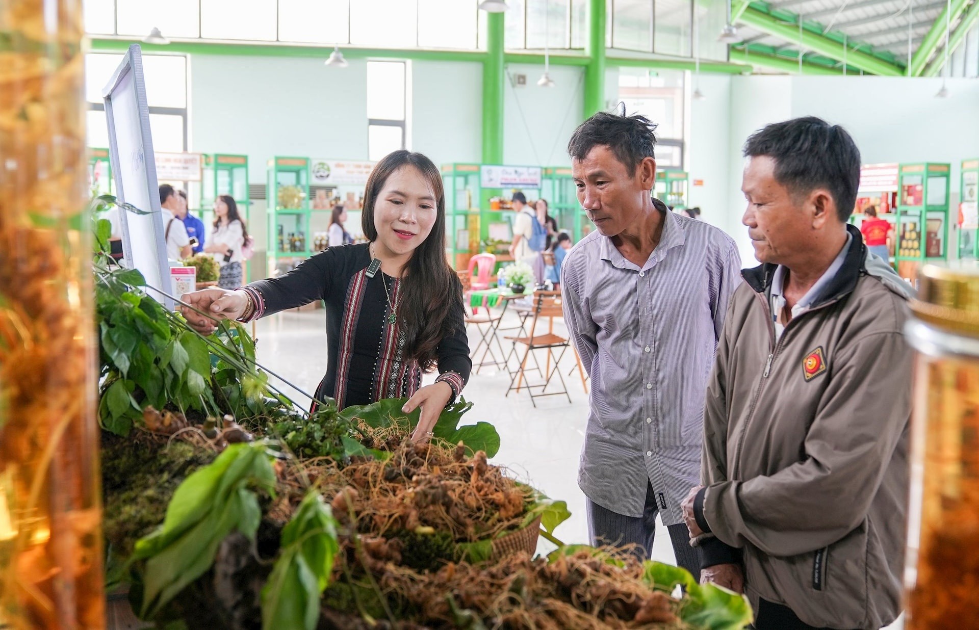 Phiên chợ livestream sâm Ngọc Linh và dược liệu miền núi