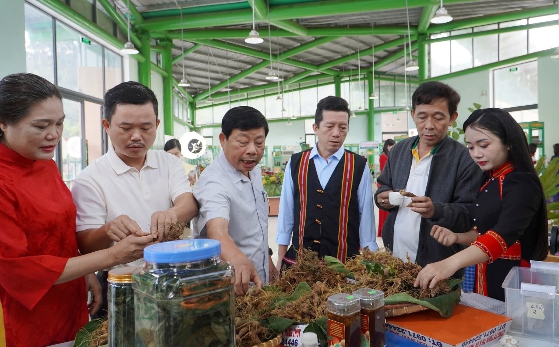 Phiên chợ livestream sâm Ngọc Linh và dược liệu miền núi