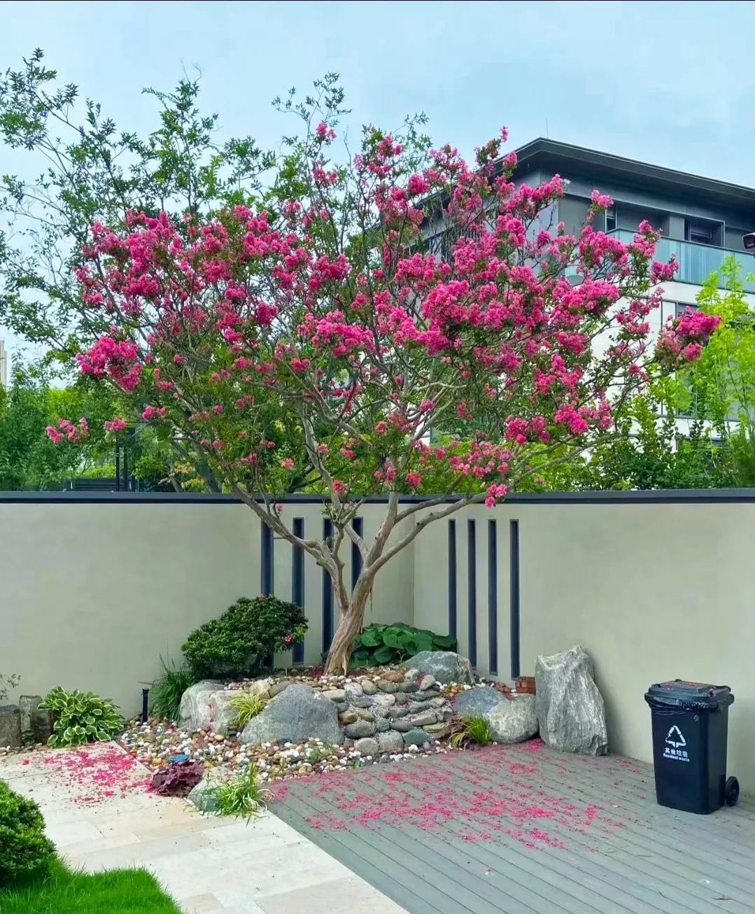 Vì sao người xưa nói dù sân vườn diện tích nhỏ, cũng nên trồng ít nhất một cây? Vì sao người xưa nói dù sân vườn diện tích nhỏ, cũng nên trồng ít nhất một cây?