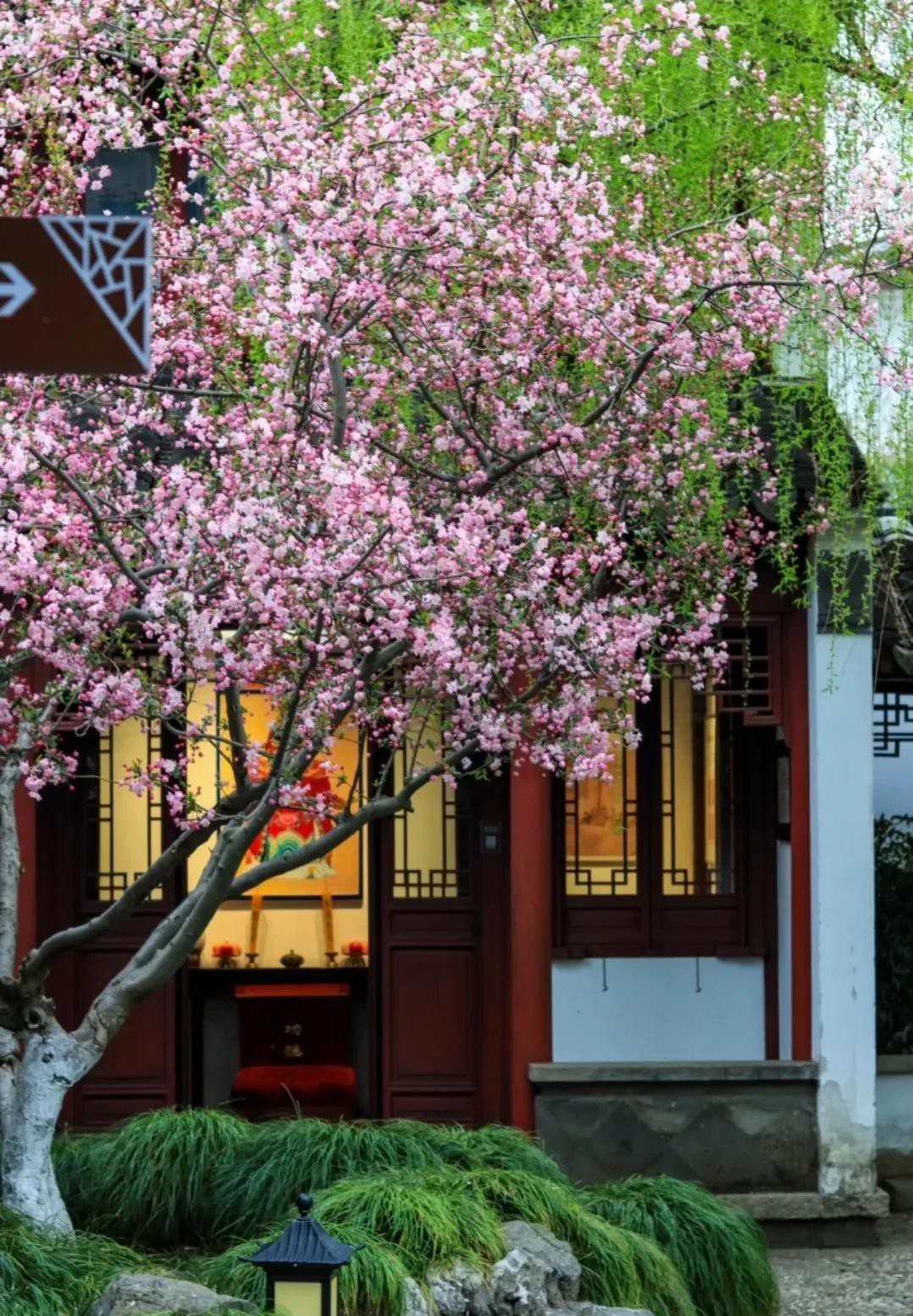 Vì sao người xưa nói dù sân vườn diện tích nhỏ, cũng nên trồng ít nhất một cây? Vì sao người xưa nói dù sân vườn diện tích nhỏ, cũng nên trồng ít nhất một cây?